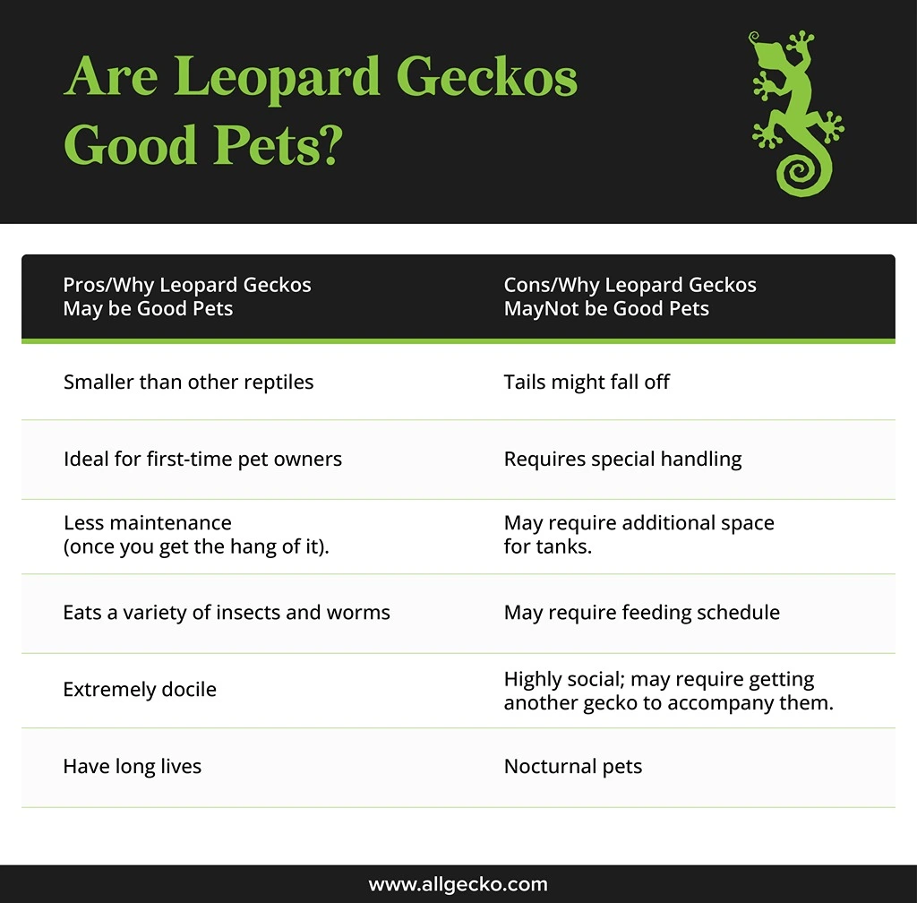 A graphic table for the pros and cons of having a Leopard Gecko as a pet