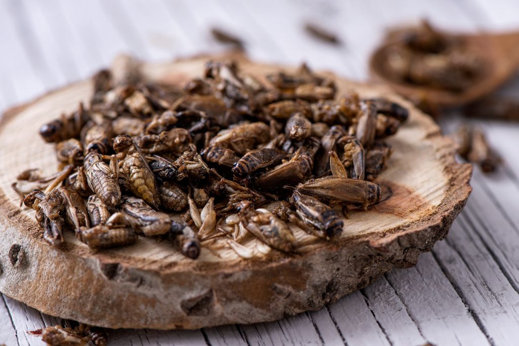 crickets on wooden chopping board