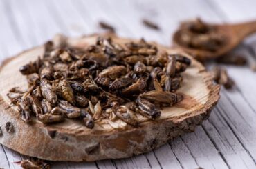 crickets on chopping board